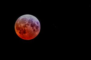 Lua de sangue